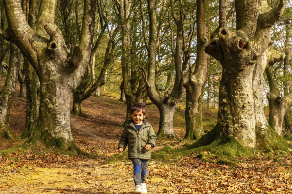 A young boy is walking through a forest with trees that have been cut down. The boy is wearing a