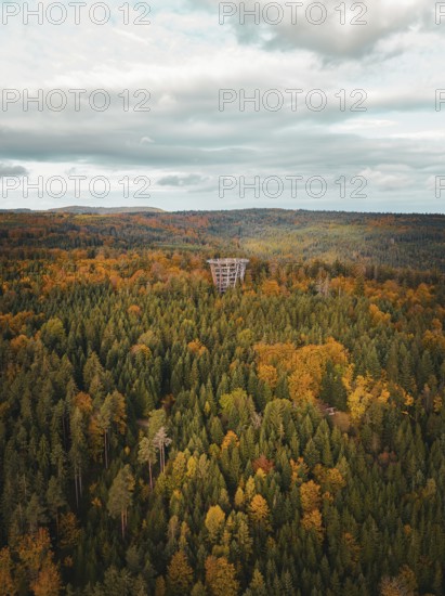 Aerial view of the observation tower treetop walk in the autumn forest, Bad Wildbad, Black Forest,