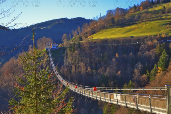 A suspension bridge leads over a wooded landscape with a meadow slope in the background, Black