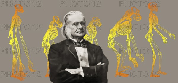 Portrait of Thomas Henry Huxley, 1825 – 1895, English biologist and anthropologist, specialized in