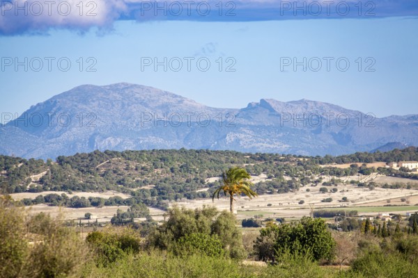 View over Majorca's hinterland Es Pla, Tramuntana mountains in the background, wide landscape with