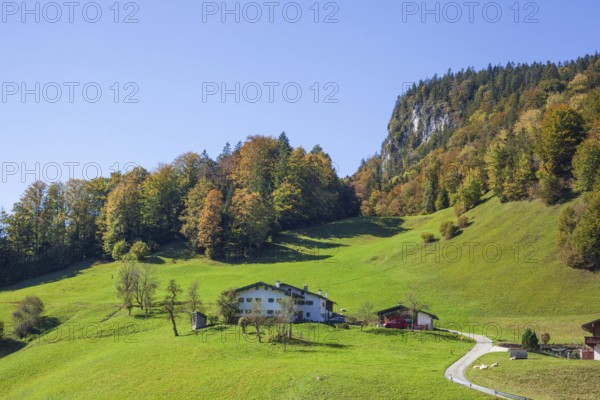 Alpine pasture with houses and forest near Maria Gern in autumn, Berchtesgarden Alps,