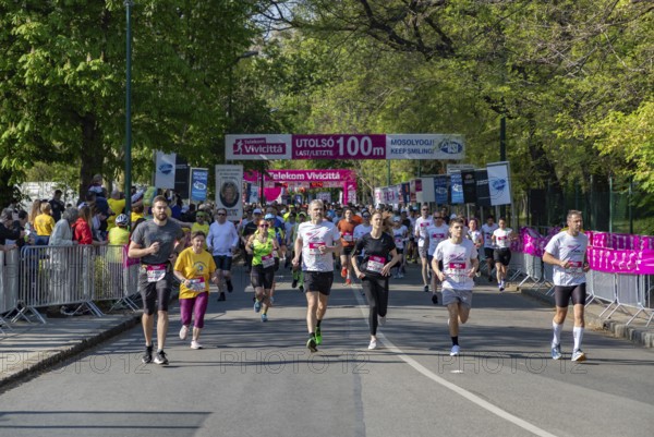 A picture of the runners at the 2023 edition of the Telekom Vivicitta Spring Half Marathon in