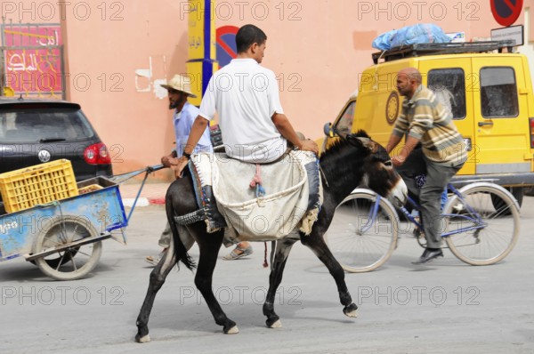 Rissani, Middle Atlas, Rissani, Morocco, A man rides a donkey on a road next to other road users,