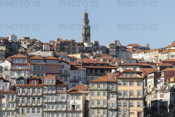Roofs, historic house facades and the Torre dos Clérigos church tower in the historic centre of