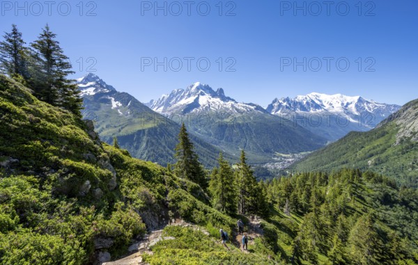 Mountain panorama with glaciated mountain peaks, Aiguille Verte with Aiguille du Midi and Mont