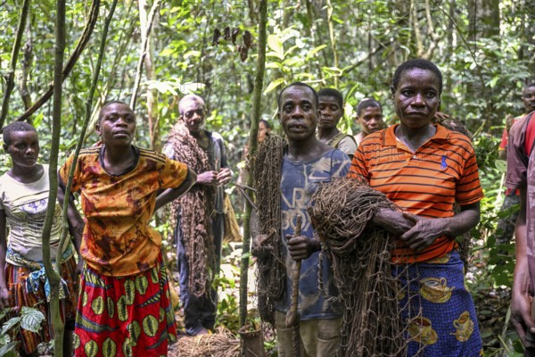 Pygmies of the Baka or BaAka people with their hunting nets in the forest, Dzanga-Sangha Special