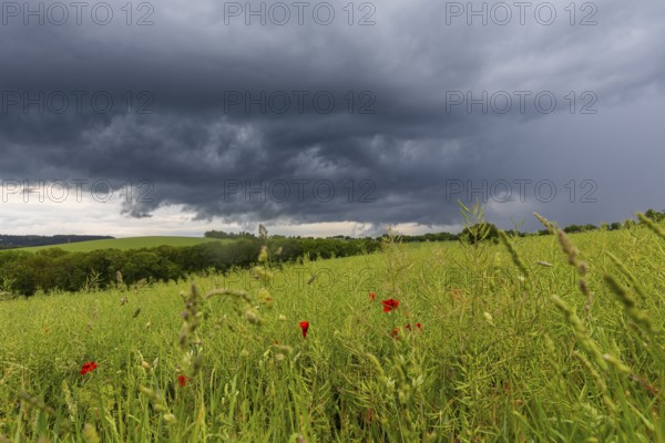 Heavy rain showers and thunderstorms over Possendorf in the Eastern Ore Mountains, Possendorf,