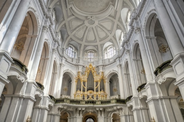 Dresden Cathedral or Cathedral of the Holy Trinity, Catholic Church of the Royal Court of Saxony,
