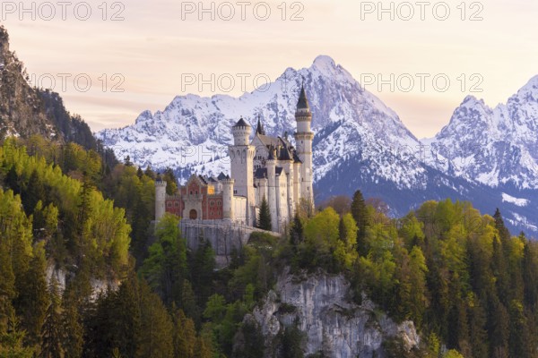 Neuschwanstein Castle near Füssen, evening mood, Schwangau, Allgäu Alps, snow, Ostallgäu, Bavaria,