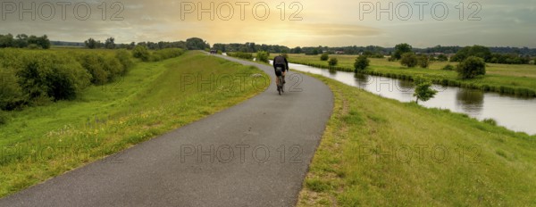 Cyclist on a cycle path by the river, landscape in the Lower Oder Valley National Park, Criewen,