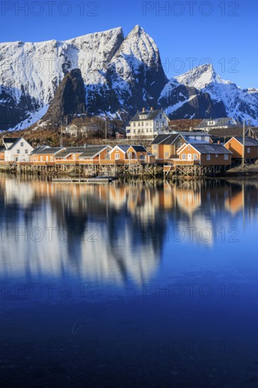 Wooden houses on a fjord off Bergen, morning light, reflection, winter, Reine, Moskenesoya,