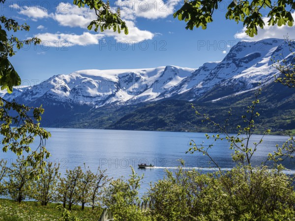 Boat on the fjord, view of snow-covered mountains, fjord and apple trees in bloom, spring,