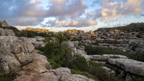 Bizarre limestone rock formations, El Torcal nature reserve, Torcal de Antequera, Malaga province,