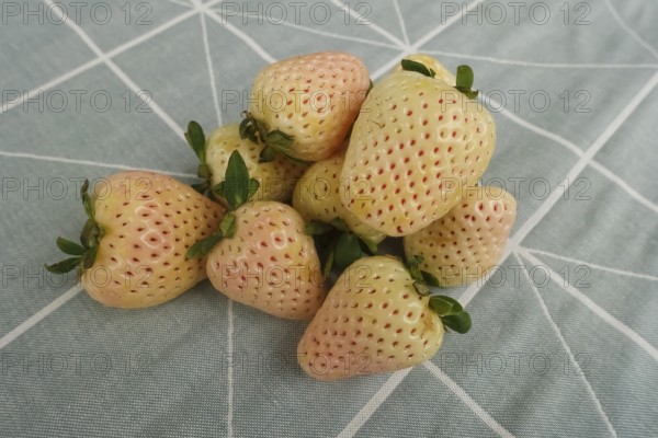 Pineapple strawberry, white pineapple strawberry, pineberry, special strawberry variety, fruit,