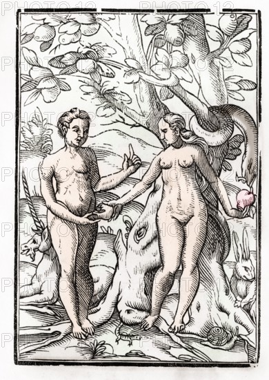 Adam und Eva im Garten Eden Aus Der Todten Tanz oder The Dance of Death erschienen in Basel 1843,