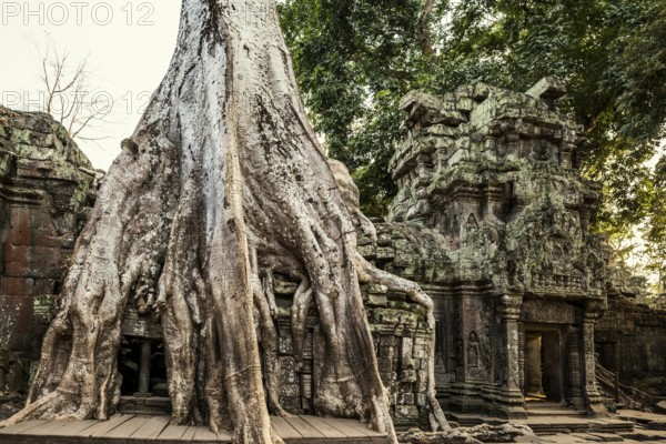Ta Prohm, Angkor Wat, Angkor, UNESCO World Heritage Site, Siem Reap, Cambodia, Indochina, Southeast