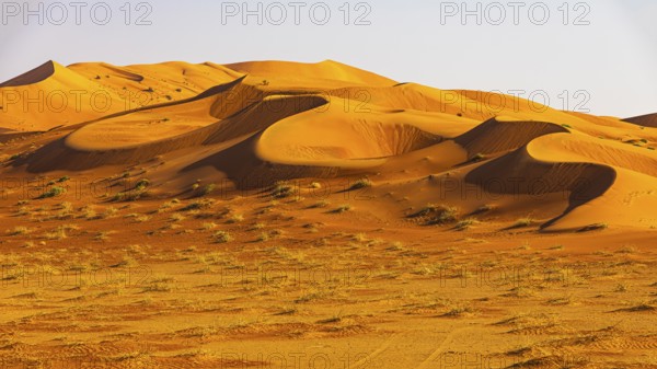 Wind-sculpted curved sand dunes in the Rub al Khali desert, Dhofar province, Arabian Peninsula,