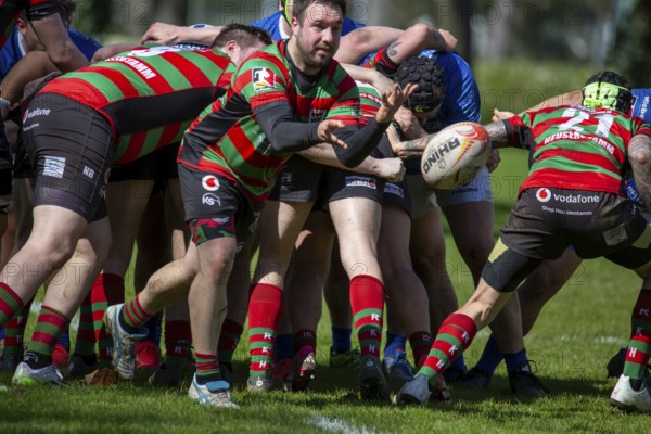 Heidelberg, 06.04.2024, Rugby 1st Bundesliga South/West, Season 2023/24, Matchday 10: SC Neuenheim