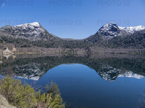 Lake Lago Quilleihue, calm surface, reflections on the water, araucaria trees, Villarica NP near