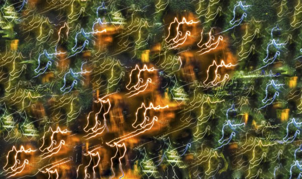 Creative shot, abstract, dancing light, night shot, light reflections, blurred, zoom, creative,