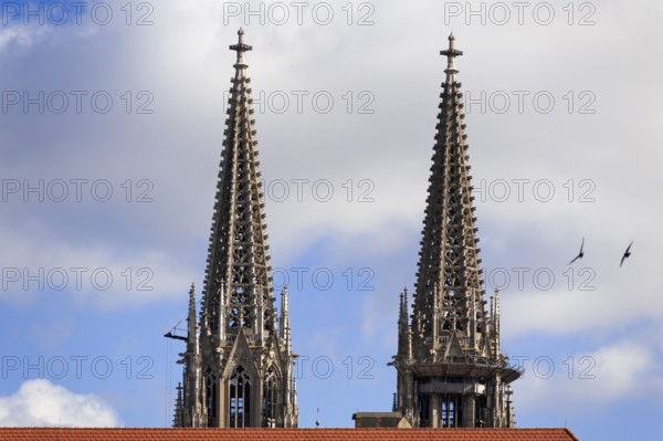Spires, 1859-1869, from St Peter's Cathedral, Regensburg, Upper Palatinate. Bavaria, Germany,