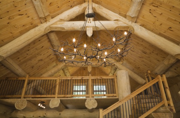Knotty pine wood planks high cathedral ceiling with illuminated deer antlers chandelier, large