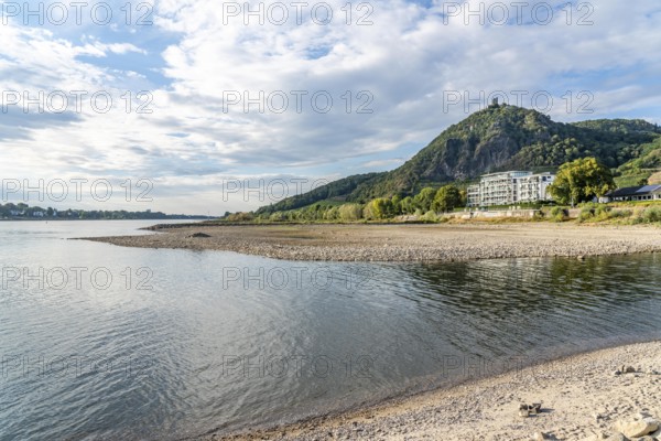 The Rhine at extremely low water, near Bad Honnef Rhöndorf, below the Drachenfels, Nonnenwerth