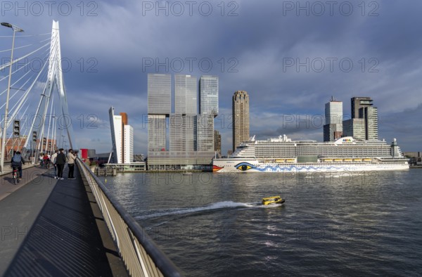 Rotterdam, skyline at the Nieuwe Maas, Erasmus Bridge, skyscrapers at the Kop van Zuid district,