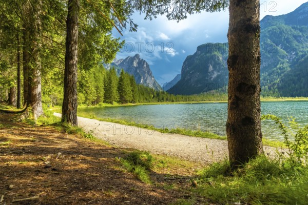 Breathtaking summer view of lake dobbiaco, nestled amidst the majestic dolomites, with a tranquil
