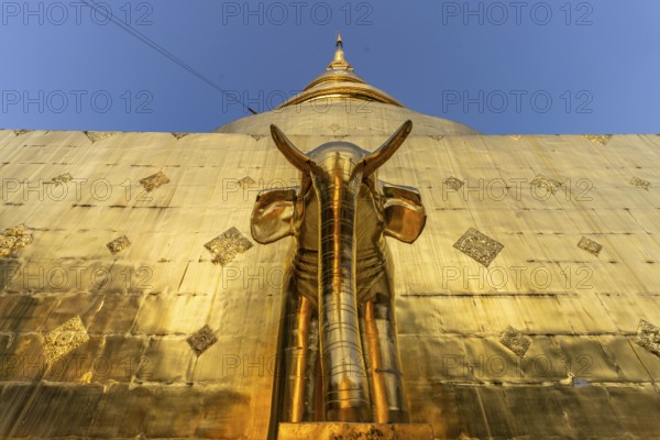 Elephant at the foot of the Golden Chedi Phrathatluang in the temple Wat Phra Singh, Chiang Mai,
