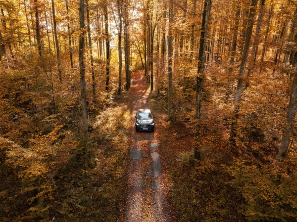 Car driving through an autumnal forest with golden yellow leaves and sunlight, electric car, VW