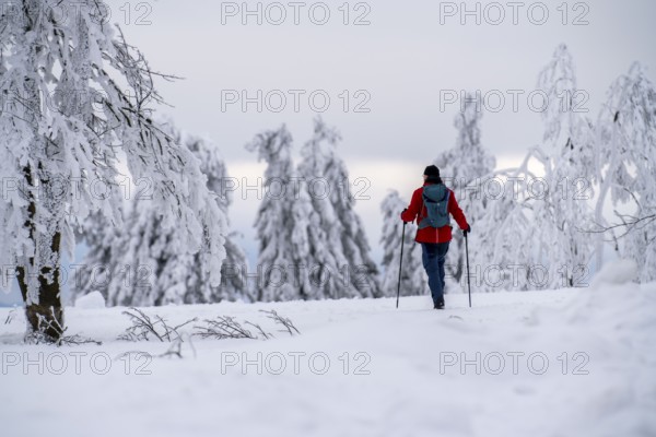 Winter in Sauerland, Hochsauerlandkreis, at Kahler Asten, near Winterberg, few tourists, visitors,