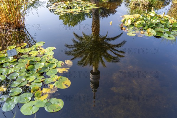 Westfalenpark, with 70 hectares, one of the largest inner-city parks in Europe, water plant basin,