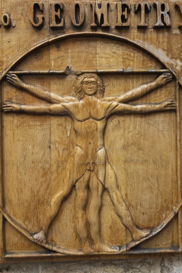 Close-up of Vitruvian man drawing by Leonardo da Vinci carved on a wooden plaque, Old Town of