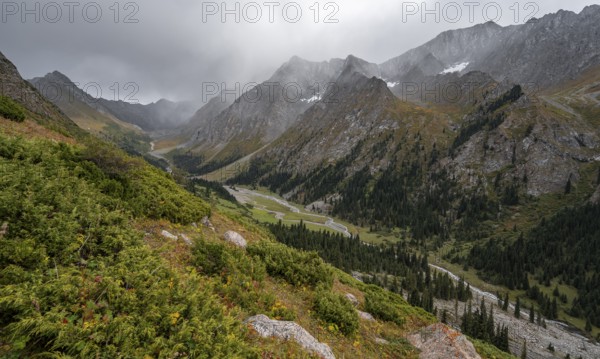 Green mountain valley with river and steep mountain peaks, Chong Kyzyl Suu Valley, Terskey Ala Too,