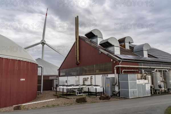 Biogas plant produces gas from various biomass, electricity is generated in combined heat and power