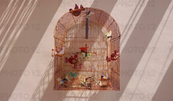 Mexican birdcage decoration in the streets of Mazatlan Historic Center, Mexico, Central America