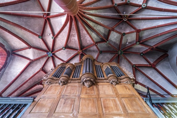 Church organ and star vault in the interior of the Catholic parish church of St Martin in the