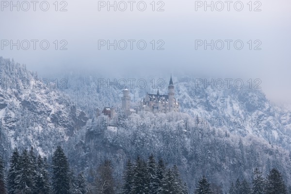 A castle towers over a dense, snow-covered forest in a mystical winter landscape, Neuschwanstein,