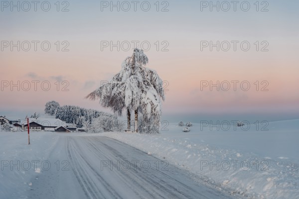 Deep snowy winter morning mood near Halblech in the foothills of the Alps in the Allgäu with the