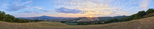 Typical Tuscan landscape in Val d'Orcia with hills, trees, fields, cypresses and farm road in
