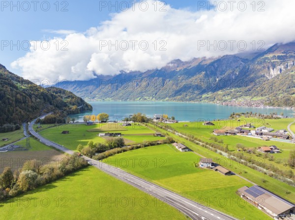 Painted meadow landscape by the lake with mountains in the background, Lake Brienz, Switzerland,