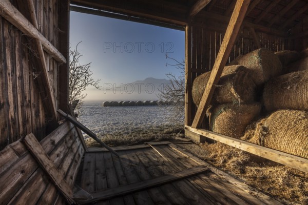 Barn, hut, hay bales, interior shot, morning light, fog, winter, mountains, Loisach-Lake Kochel
