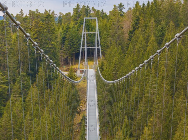 Long suspension bridge stretches over a green forest from the perspective of a walker, Wildline
