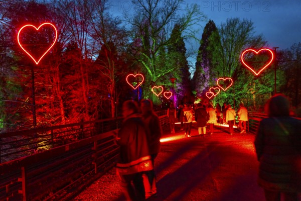 Parkleuchten, event in winter, in the Grugapark in Essen, many different light installations,