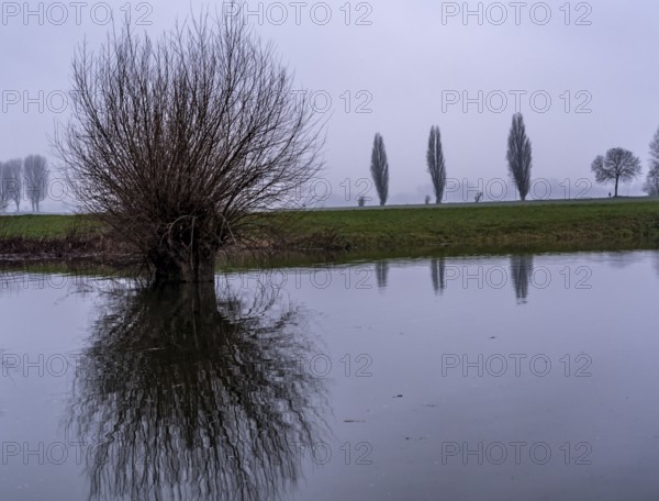 High water on the Rhine at Düsseldorf-Kaiserswerth, foggy weather, riverside paths and Rhine