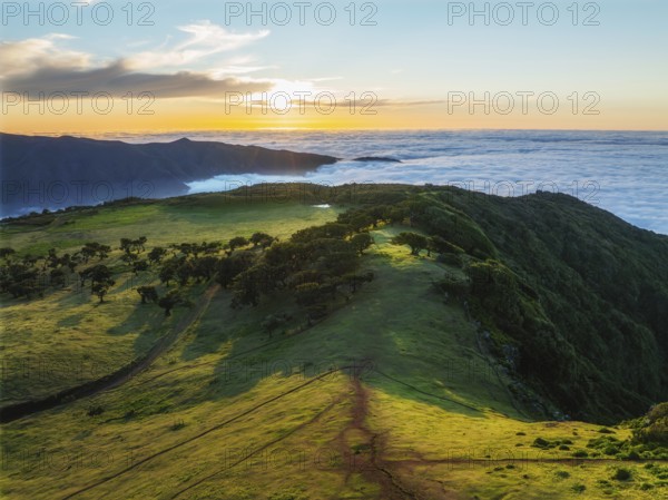 Aerial view of idyllic scenic Fanal Laurisilva forest with centuries-old til trees above clouds on