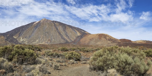 El Teide National Park, behind it the Pico del Teide, 3715m, World Heritage Site, Tenerife, Canary