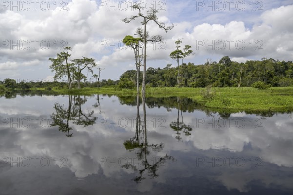 Waterscape on the Akaka River, Loango National Park, Parc National de Loango, Ogooué-Maritime